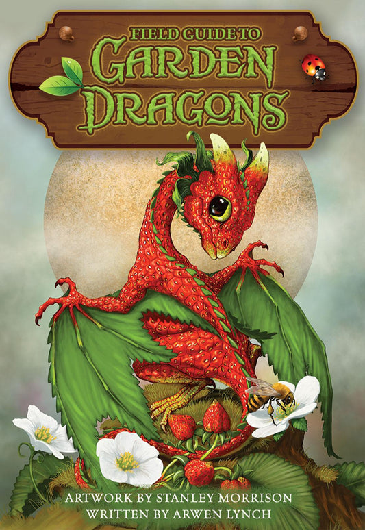 Field Guide to Garden Dragons Card Set    by  Lynch, Arwen