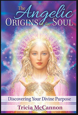 Angelic Origins of the Soul  by McCannon